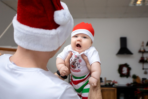 Хомячок Платон и его родители